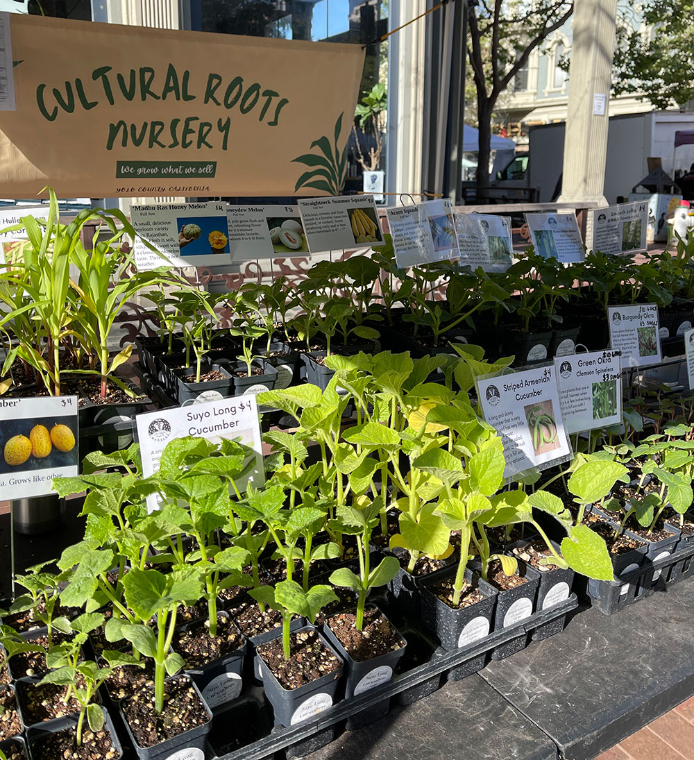 cultural-Roots-nursery-plants